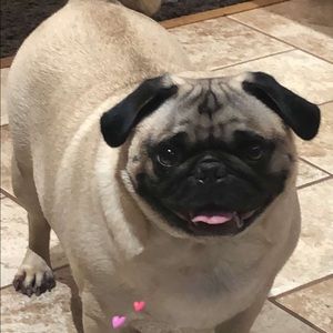 Meet your Posher, Chetan